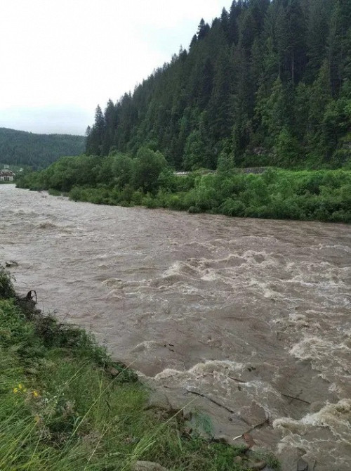 Унікальна можливість придбати дві ділянки з виходом до річки Прут Яремче - изображение 2