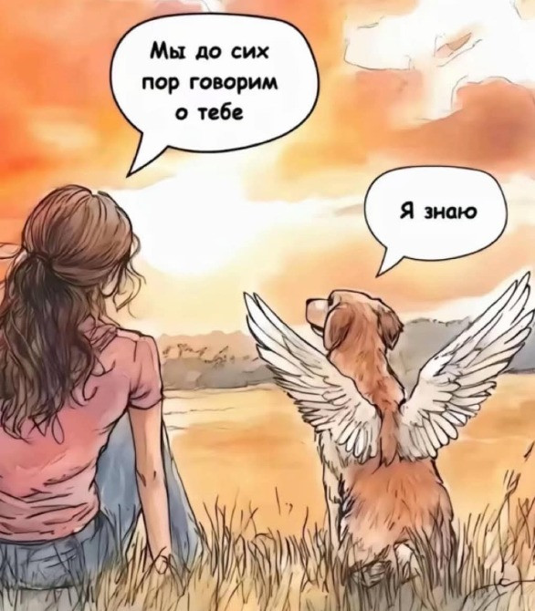 Поховання домашніх тварин у м. Тернопіль Тернопіль - зображення 2