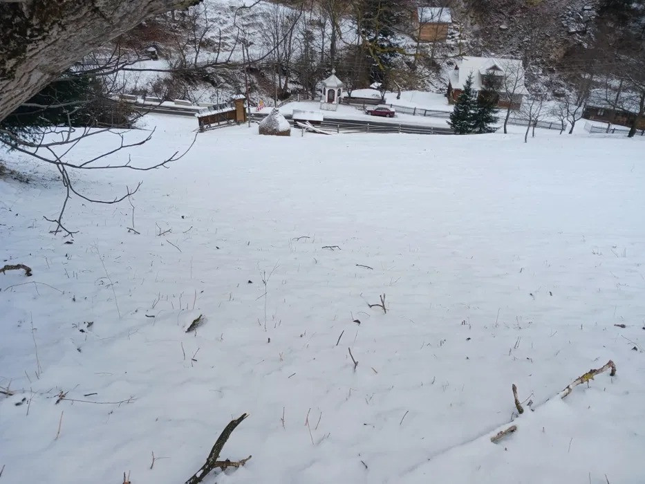 Продаж земельної ділянки в Карпатах – с. Буковець, Верховинський район Ивано-Франковск - изображение 4