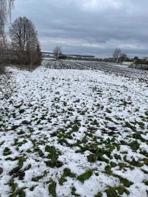 Продам земельну ділянку с. Оздів Луцьк - зображення 4