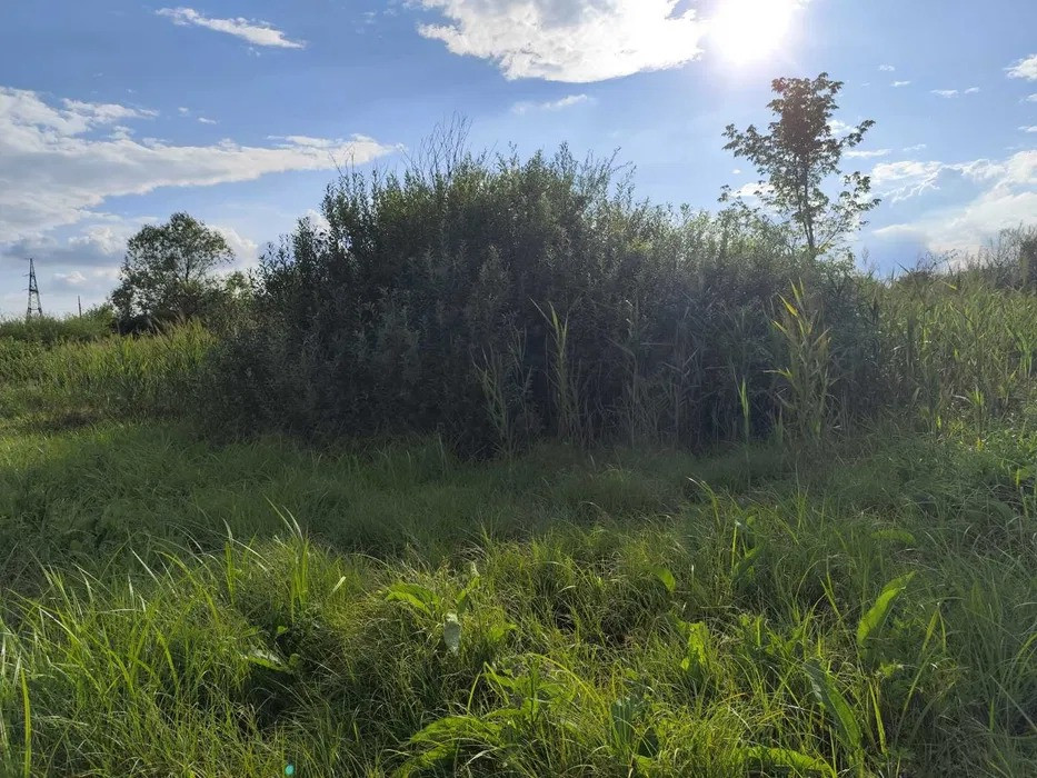 Земельна ділянка під забудову Сороки-Львівські Львов - изображение 4