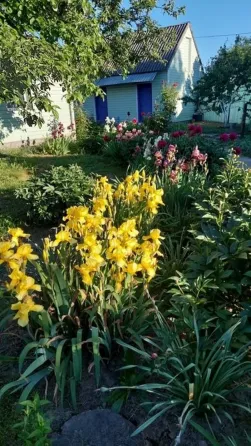 Продаж будинку у селі Мала Сквирка Белая Церковь