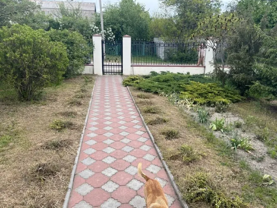 Село Забуччя, Києво-Святошинський р-н, продам будинок, ділянка 0.25 га Буча - зображення 6