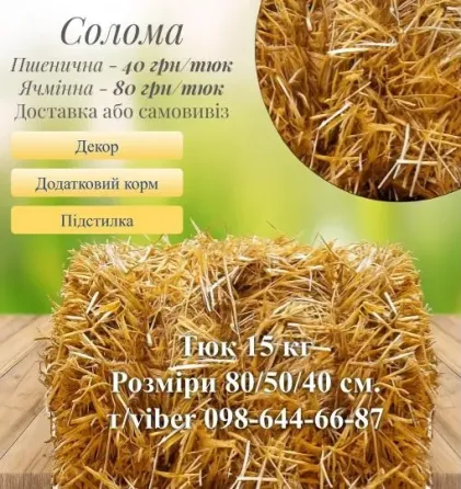Солома та сіно в тюках урожай 2025 року, Вінницька обл Жмеринка