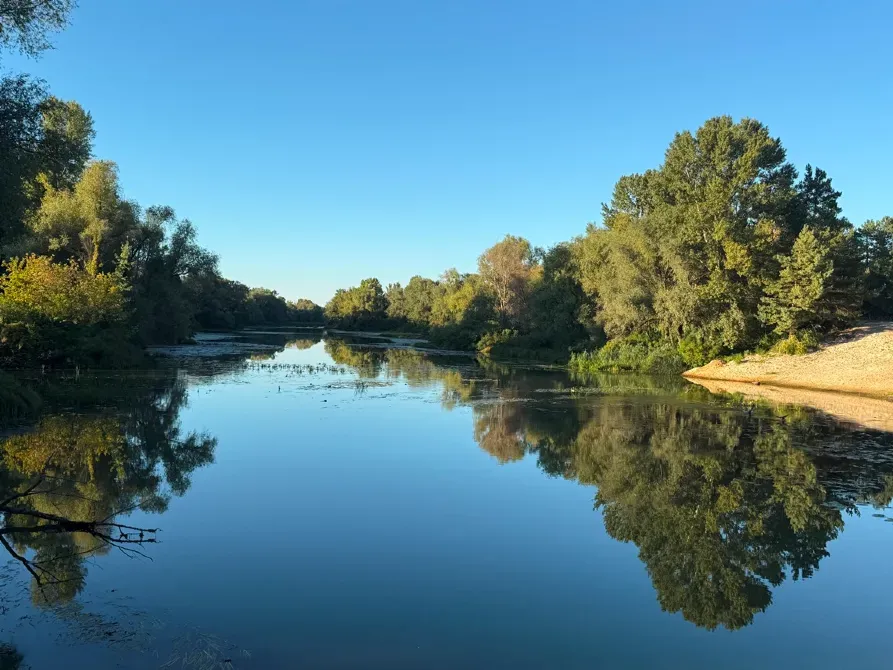 Ділянка під будівництво 34 сотки з лісом Вишгород - зображення 7