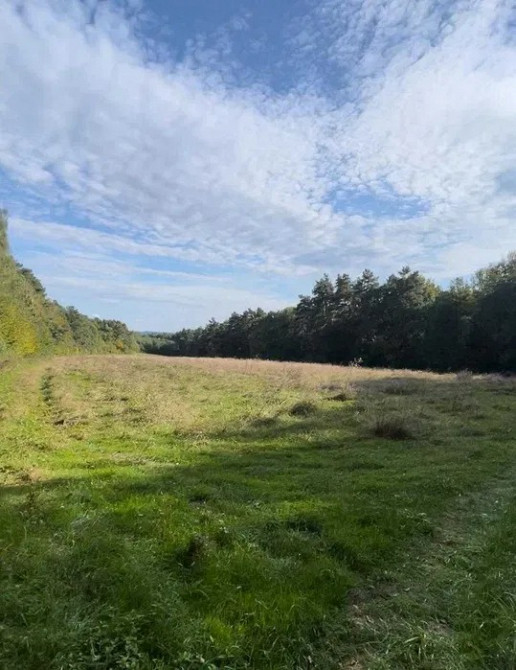 Земельна ділянка 1, 2 Га поруч з Брюховичами Львов - изображение 7