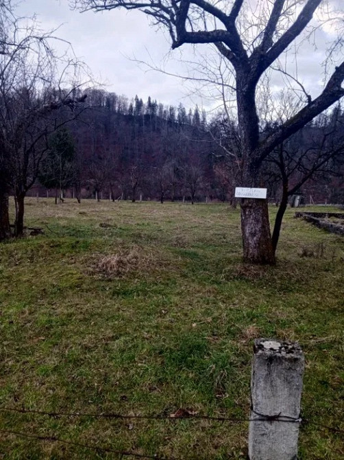 Продам участок на Прикарпатті Черновцы - изображение 1