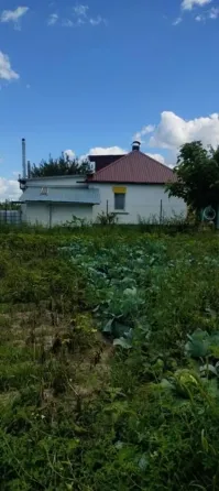 Продам Будинок В місті Васильків Васильков