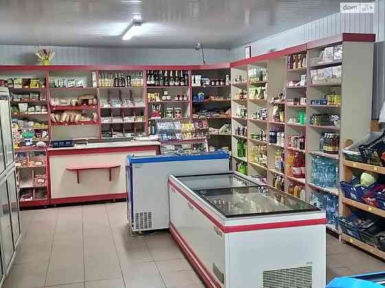 Продаж 1 поверхового будинку з верандою 99.3 кв. м селище Вилок Виноградів