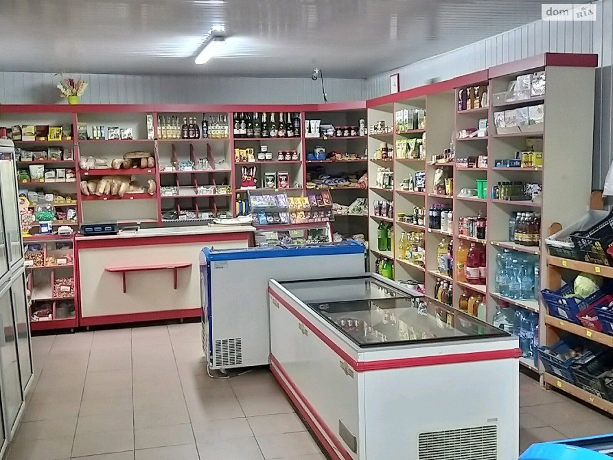 Продаж 1 поверхового будинку з верандою 99.3 кв. м селище Вилок Виноградів - зображення 6