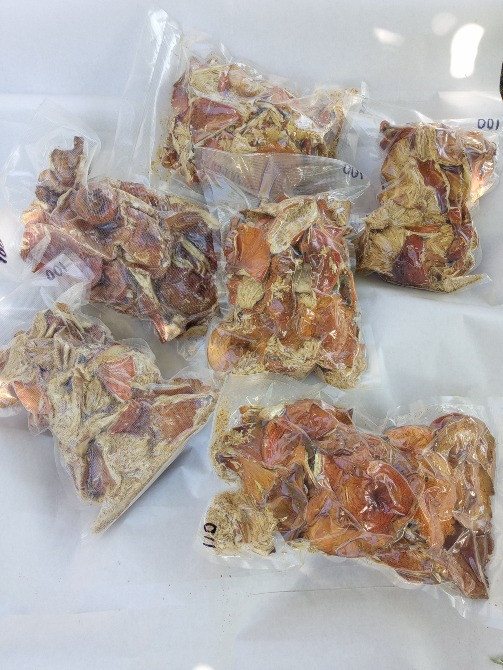 Мухомор червоний 2024 Черкаси - зображення 1