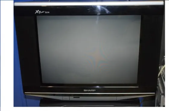 Телевізор кольоровий Sharp XFlat Slim 21S-Fx10U Біла Церква