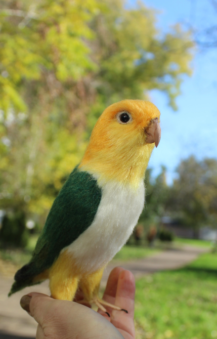 Попугай Каик іграшка валяна з шерсті войлочний папуга ручної роботи п Одеса - зображення 1