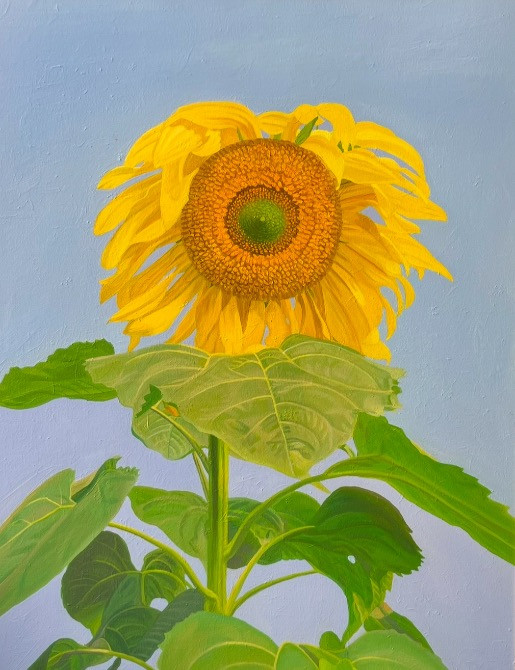 Професійні і оригінальні картини «Соняшники» Львів - зображення 1