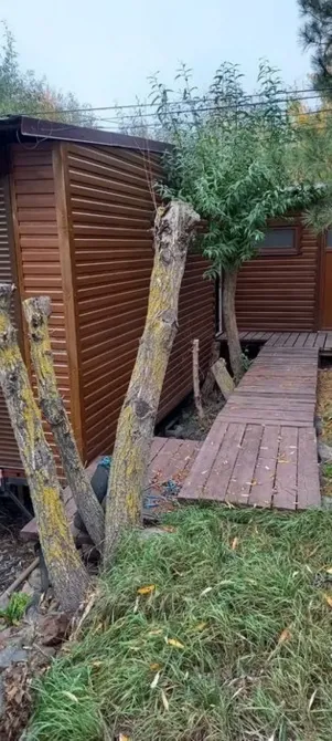 Продам дом-сруб в г. Вилково Кілія - зображення 5