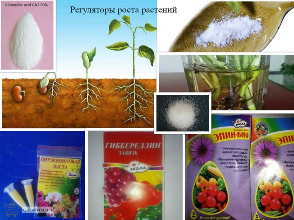Регуляторы роста растений Одесса - изображение 1