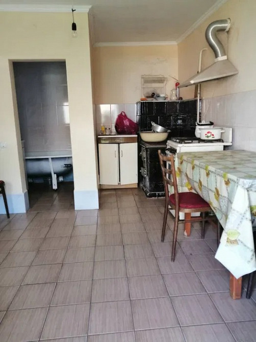 Продається будинок у мальовничому селі Грусятичі Жидачів - зображення 10