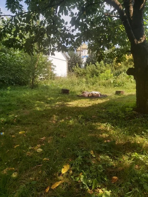 Продам унікальну земельну ділянку в самому серці Чернівців Черновцы - изображение 4