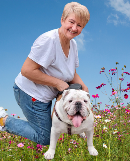 Гостиница Пес для собак - перетримка тварин у Київі, дім для собак Киев - изображение 9