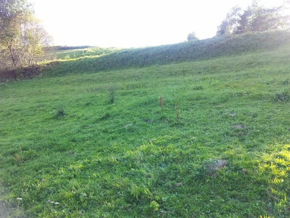 Земля в Карпатах поруч із гірськолижним комплексом «Плай», с. Плав’є Сколе - зображення 4