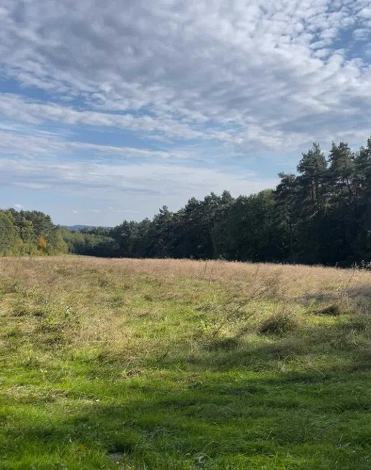Земельна ділянка 1, 2 Га поруч з Брюховичами Львов - изображение 2