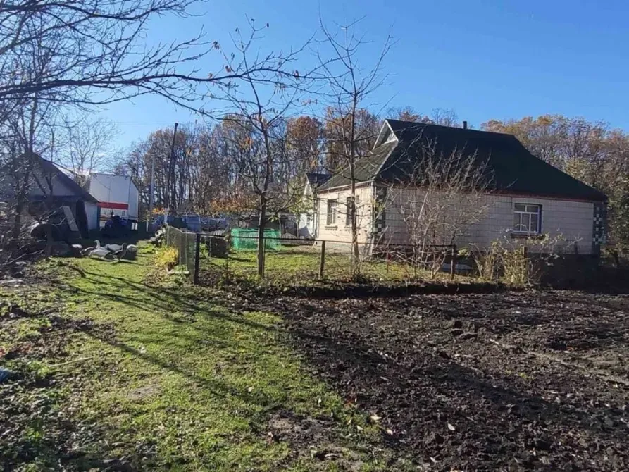 Продам дом в с. Шамраевка, Киевская область Біла Церква - зображення 3