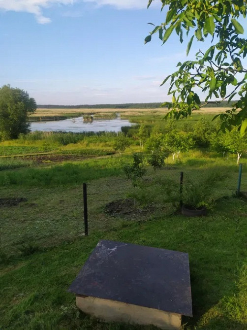 Будинок/дача в мальовничому селі Гумнище, Волинська область Луцьк - зображення 8