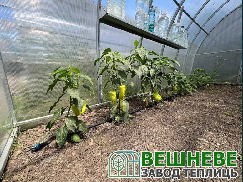 еплиці Акція! 4х6, 4х8, 4х10, 4х12 теплицы с полікарбонатом Завод Тепл Вишневе - зображення 5