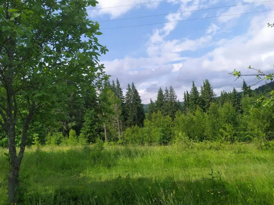 Терміново! Земельна ділянка в Карпатах Калуш - изображение 2