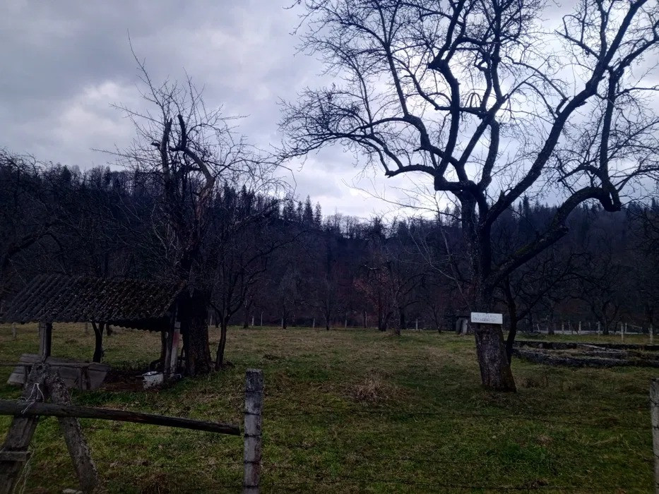 Продам участок на Прикарпатті Черновцы - изображение 2