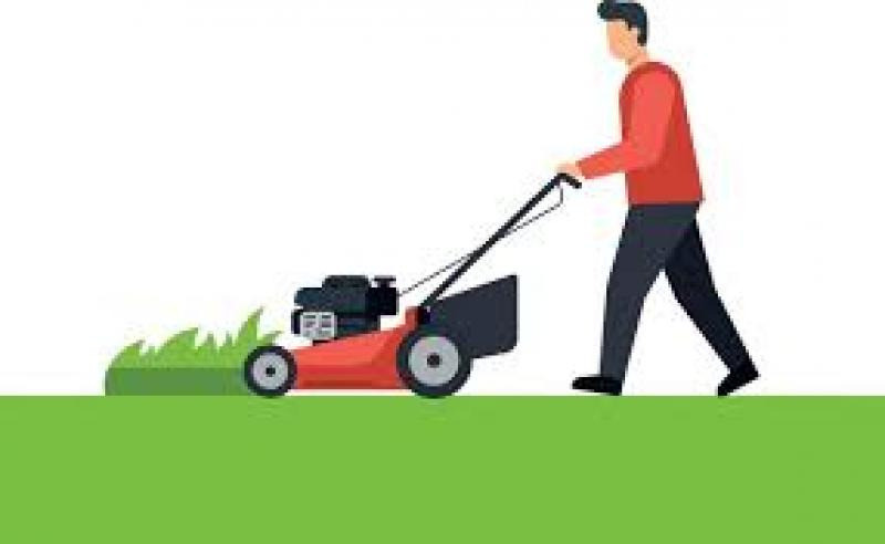 Покіс трави: Київ, Київська область та Біла Церква. Швидко, якісно, до Київ - зображення 7