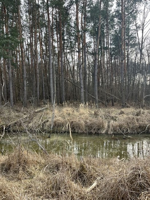 Земельна ділянка під забудову Світязь, Шацькі озера (Пулемець Шацьк - зображення 9