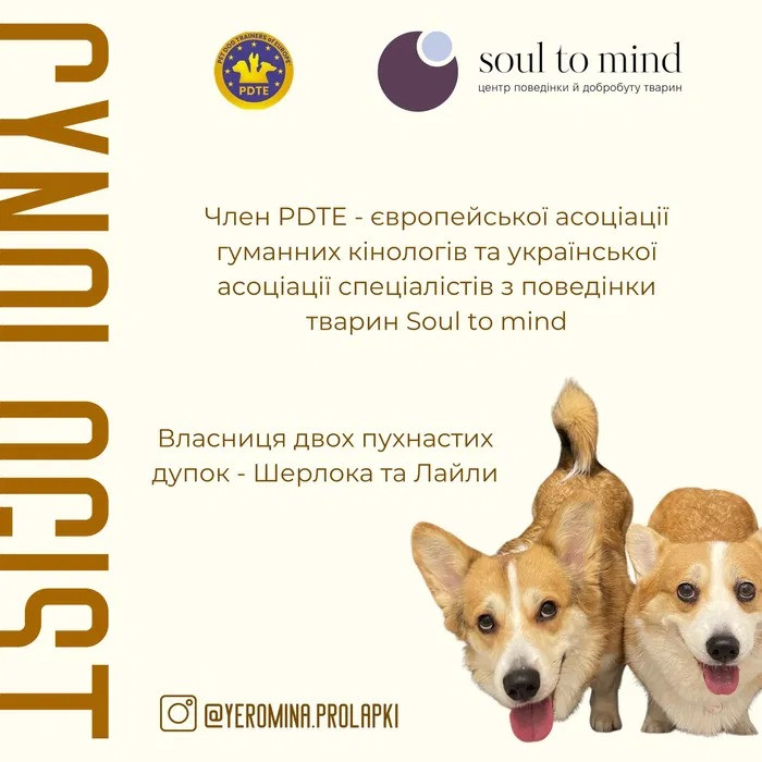 Консультація кінолога онлайн – порозумійтеся з вашим собакою Луцк - изображение 1