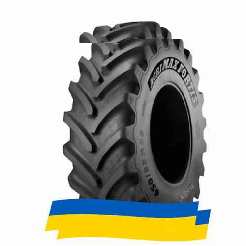 800/70 R38 BKT AGRIMAX FORTIS 181/178A8/D Сельхоз шина Київ