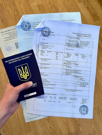 подготовка документов для выезда животных за границу Дніпро
