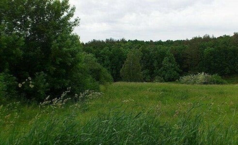 продам 15 сот.земли, под строитес. Музычи, Бучанского р-на, Киевской обл Київ - зображення 1