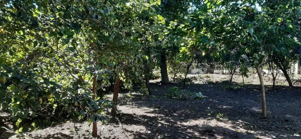 Продам будинок в місті Богуслав Богуслав - зображення 3