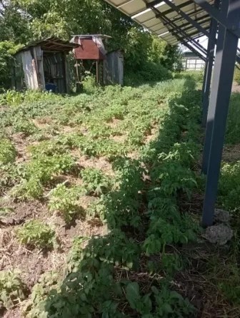 Участок землі 10 соток під забудову в м.Олександрії по вул.6 го Грудня Александрия