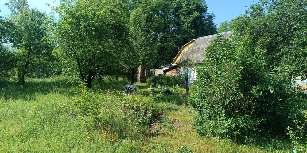 Продається будинок із великою земельною ділянкою в мальовничому місці Макаров - изображение 9