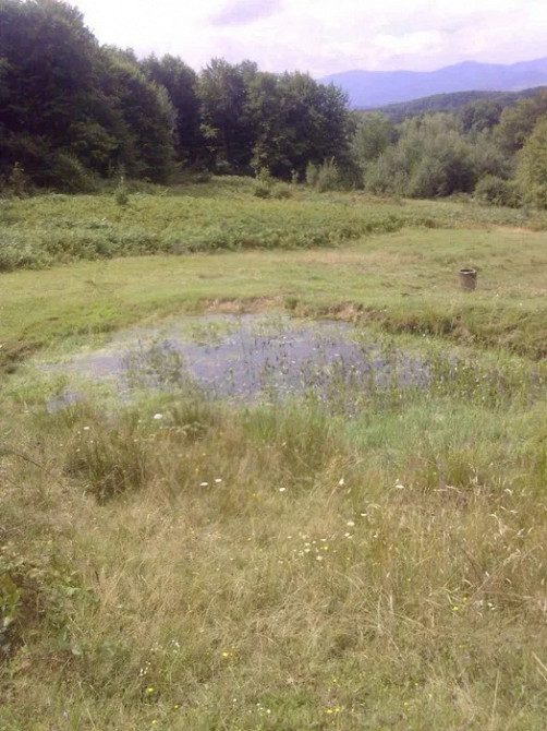 Земельна ділянка 1га Хуст - зображення 2
