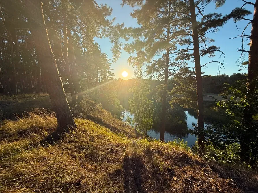 Ділянка під будівництво 34 сотки з лісом Вишгород - зображення 11