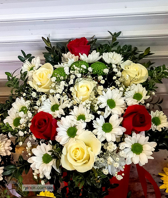 Доставка Курьером! По Г. Бердичев. Цветы, Букеты, Подарки, Корзины-Фру Бердичів - зображення 6