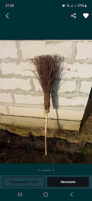 Мітла березова для прибирання території Ивано-Франковск - изображение 1