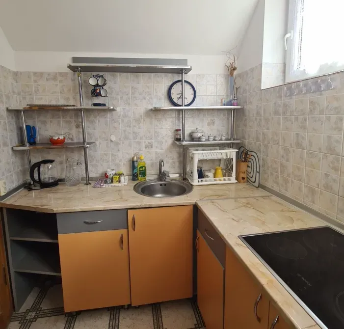 Здаються в м. Берегове 2, 3, 4, 5-х кімнати подобово біля термал. басе Берегове - зображення 4