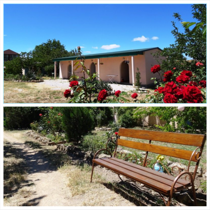 Оленевка Крым снять жилье у моря +79780677080 Чорноморське - зображення 3