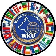 Приглашаем в клуб собаководства Суми - зображення 5