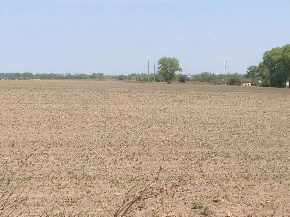 Продаж земельної ділянки 2, 4601 га, с. Ситняки, Макарівський р-н Макаров - изображение 12