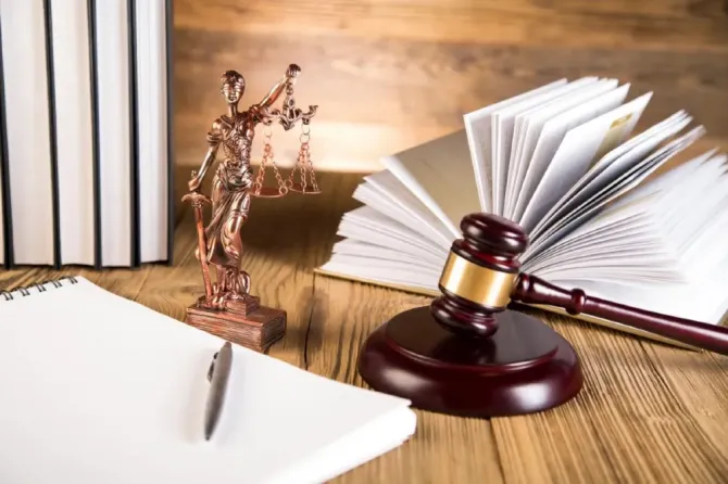 Допомога у спадкуванні неприватизованої нерухомості Адвокат Виноградар Киев - изображение 2