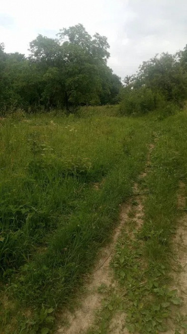 Земельна ділянка 44 сотки під лісом біля парку «Гуцульщина» Косів - зображення 3