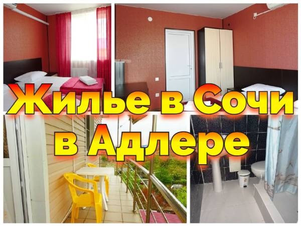 Жилье Сочи без посредников Адлер Сириус +79184084389 Донецк - изображение 4